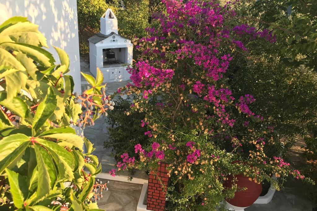 Παναής & Μαρία / Panais & Maria Villa Szkópelosz Kültér fotó